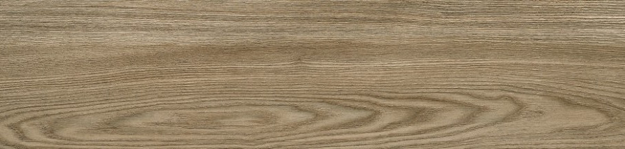 Керамогранит Alma Ceramica Andora GFA92ADR44R 200×900