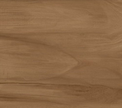 Керамогранит Alma Ceramica Ashton GFU92ATN44R 200×900