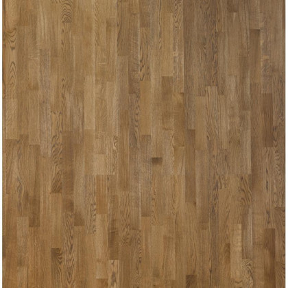 Паркетная доска Focus Floor Smart Дуб ЛАЙВЛИ