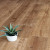 ПВХ плитка Alpine Floor Real Wood Дуб Royal ECO 2-1