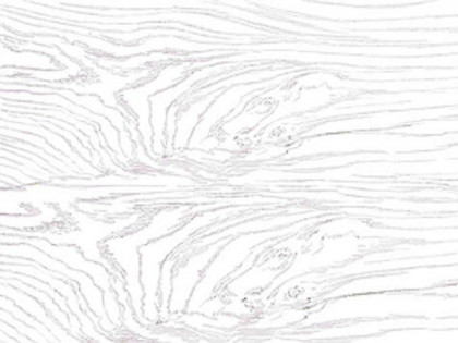 Керамогранит Alma Ceramica Westwood GFU92WTD00R 200×900