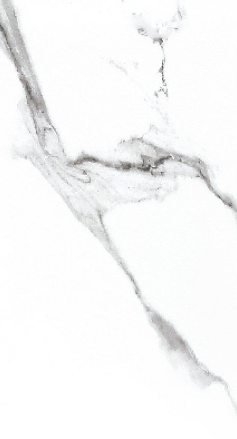 Керамогранит NT Ceramic NTT9100 600×1200