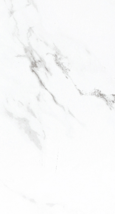 Керамогранит NT Ceramic NTT9100 600×1200