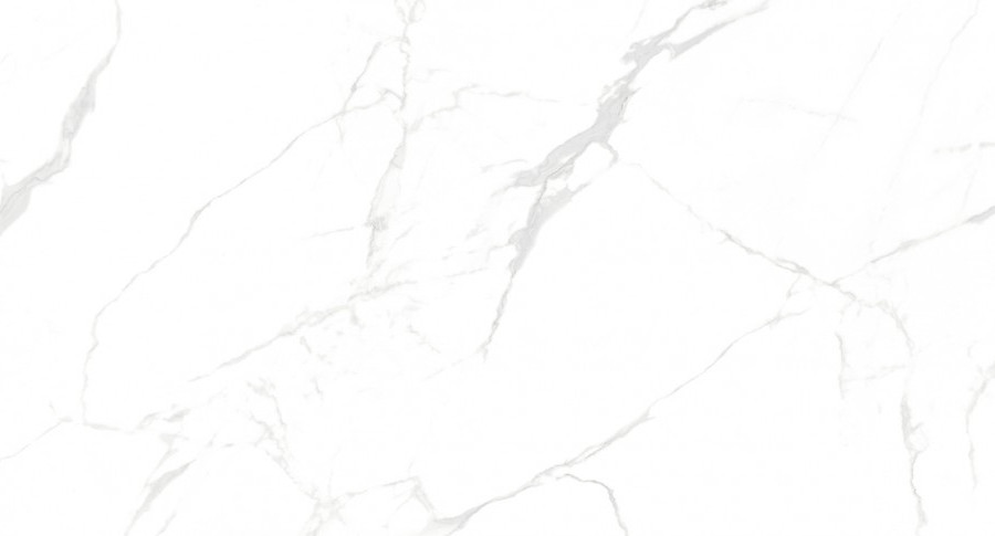 Керамогранит NT Ceramic NTT99607M Callacata Carving 60×120