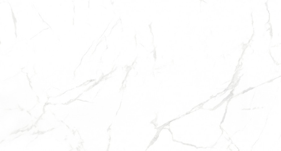 Керамогранит NT Ceramic NTT99607M Callacata Carving 60×120