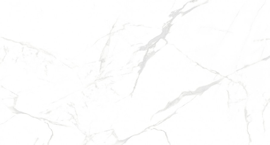 Керамогранит NT Ceramic NTT99607M Callacata Carving 60×120