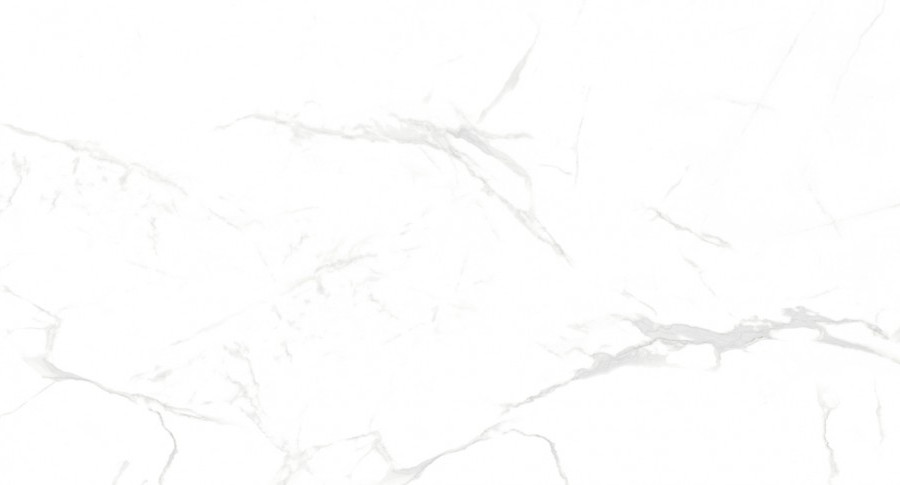 Керамогранит NT Ceramic NTT99607M Callacata Carving 60×120