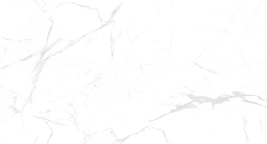 Керамогранит NT Ceramic NTT99607M Callacata Carving 60×120