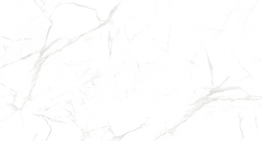 Керамогранит NT Ceramic NTT99607M Callacata Carving 60×120