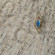 Кварц-виниловая плитка Alpine Floor Stone Ричмонд ECO 4-1