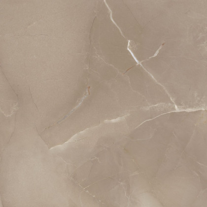 Керамогранит Passion Lux 60 Taupe 600×600