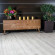 Кварц-виниловая плитка Alpine Floor Easy Line Дуб Снежный ECO 3-14