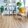 ПВХ плитка Alpine Floor Easy Line Дуб Рыжий ECO 3-21